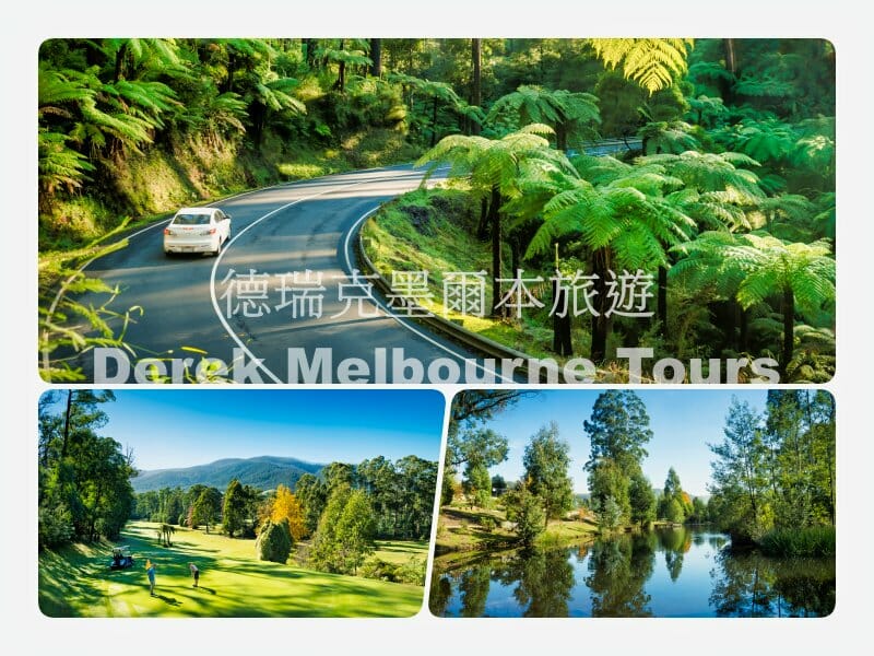 丹德農山脈國家公園（Mt Dandenong National Park）