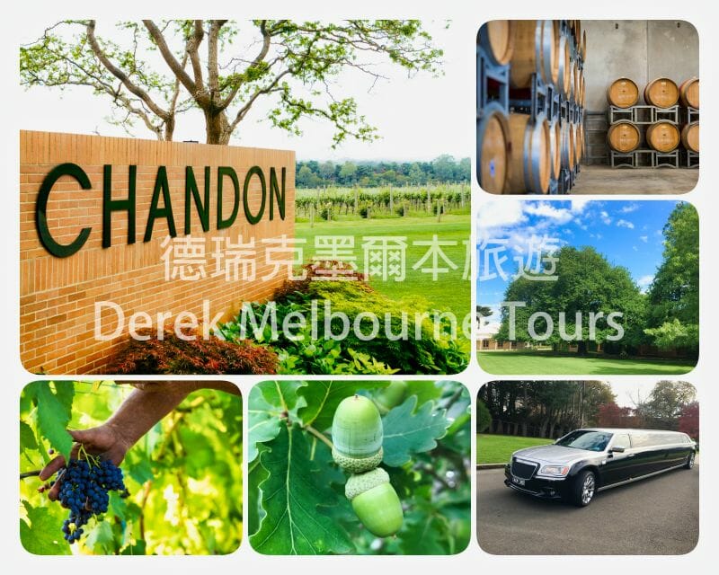 香登酒莊（Domaine Chandon）