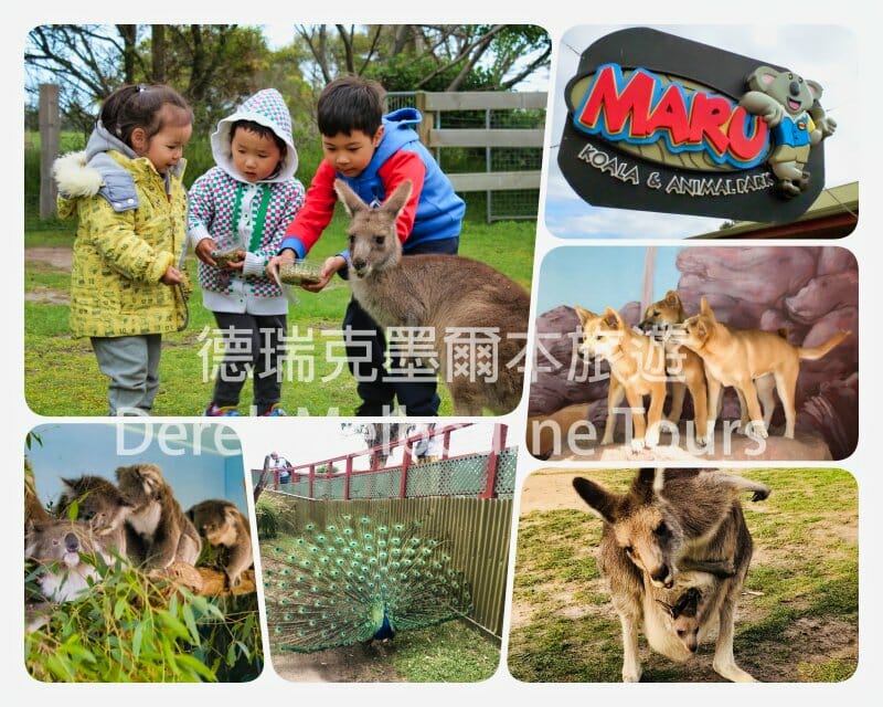 瑪魯動物園（Maru Koala & Animal Park）