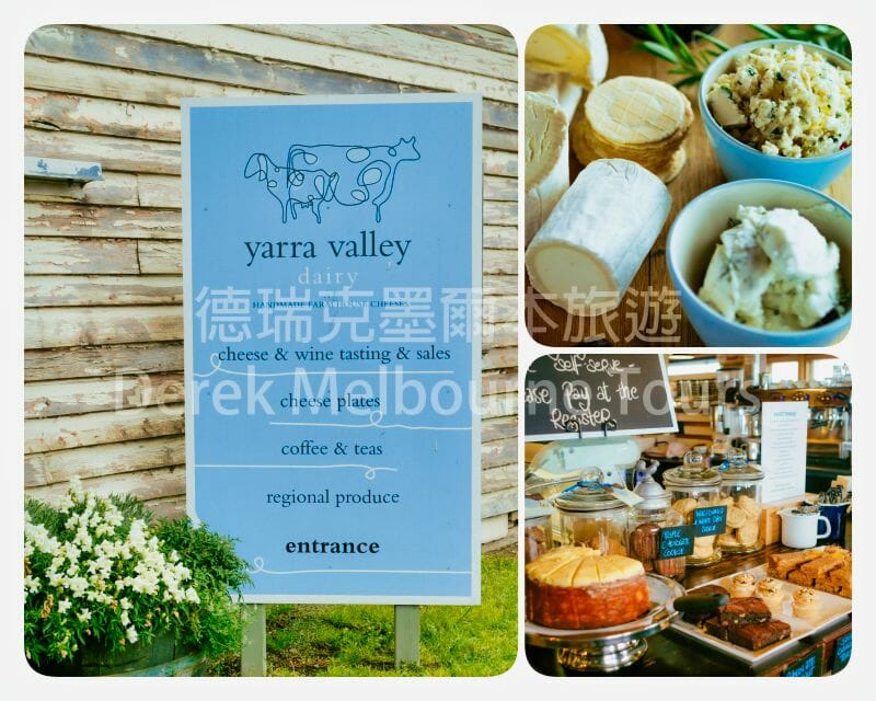 起司農場（Yarra Valley Dairy）| 亞拉河谷一日遊 | Rayners Orchard | Warratina Lavender Farm | 亞拉河谷酒莊區 |